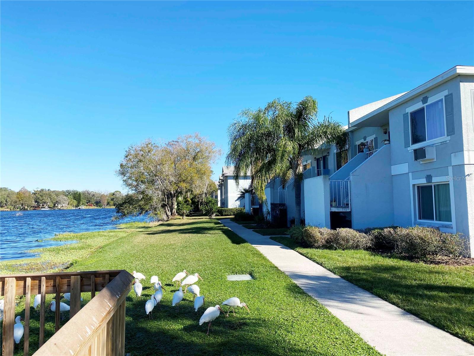 Listing photo id 5 for 7120 Waterside Drive 106