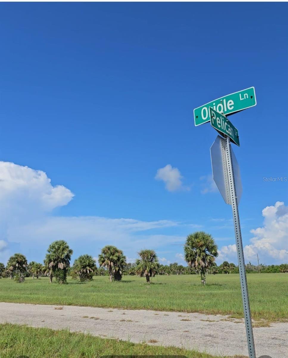 Details for 6 Oriole Lane, PLACIDA, FL 33946