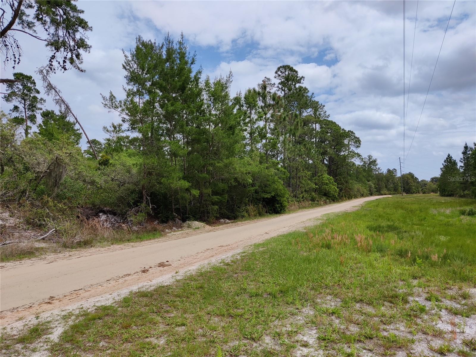 Details for Buck Run Drive Lots-10,33, PAISLEY, FL 32767