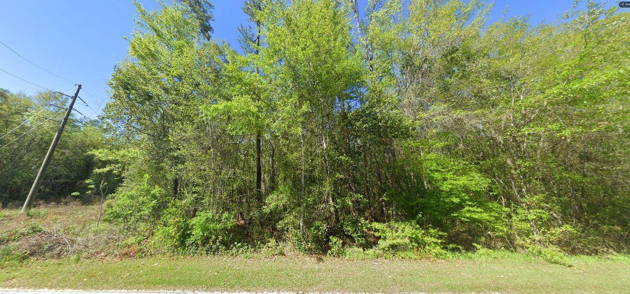 Listing photo id 0 for 100 State Line Road