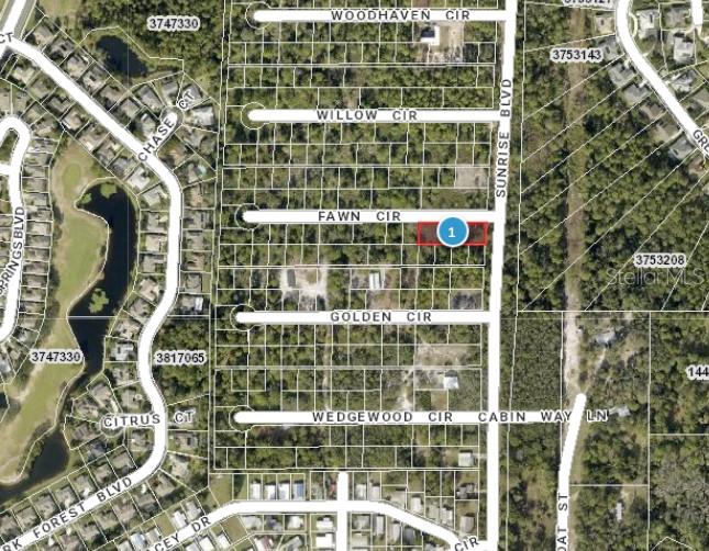 Details for Sunrise Boulevard, MOUNT DORA, FL 32757