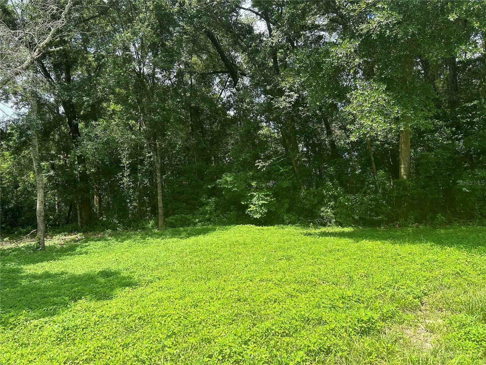 Image 4 of 6 For 7400 Hwy 25