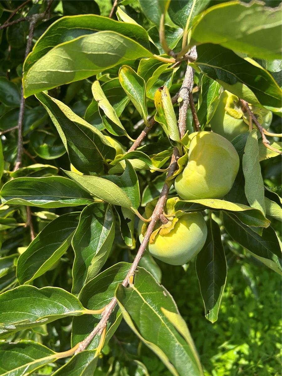 Image 6 of 6 For 7400 Hwy 25