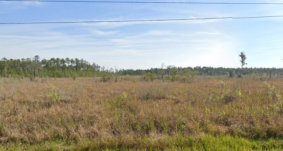 Details for 000 Old Grade Road, POLK CITY, FL 33868