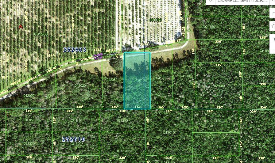 Listing Details for Deen Still Road, POLK CITY, FL 33868