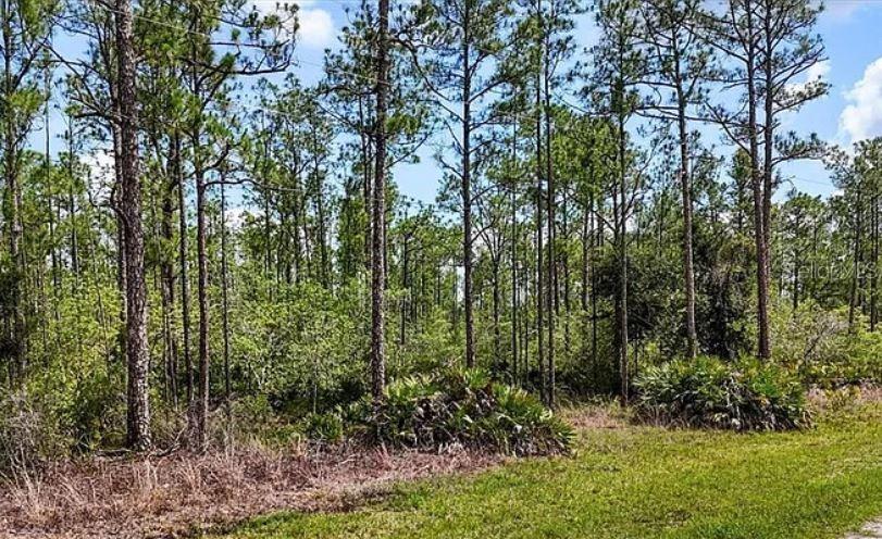 Image 2 of 2 For Oleander Drive