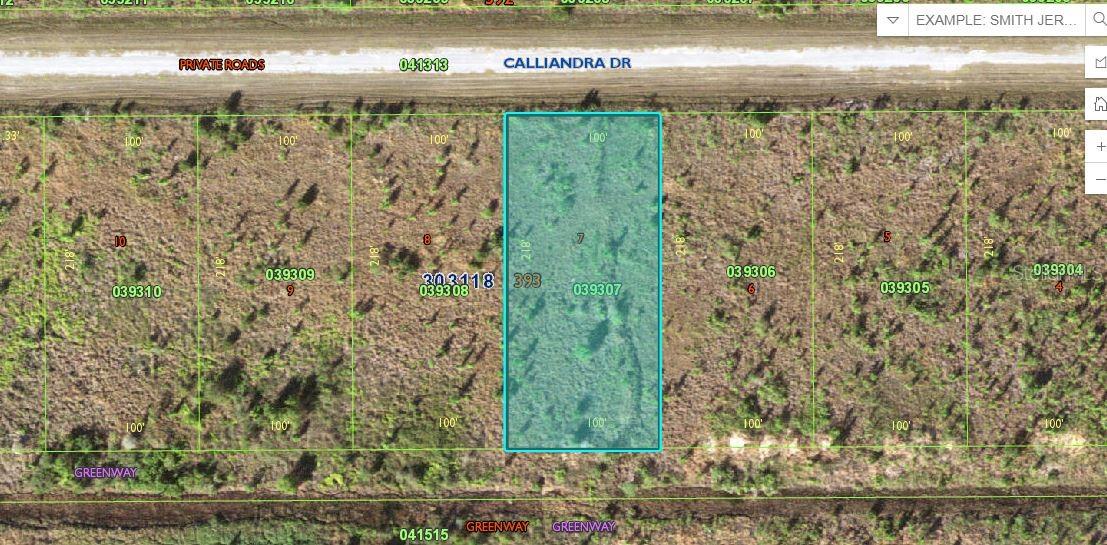 Listing Details for Calliandra Drive, LAKE WALES, FL 33855