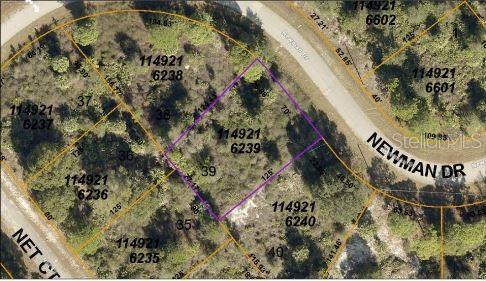 Image 3 of 5 For Newman Drive