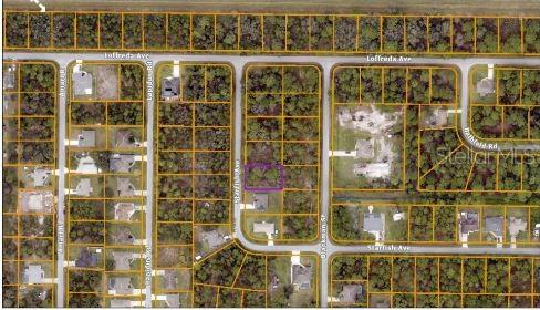 Image 4 of 7 For Starfish Avenue