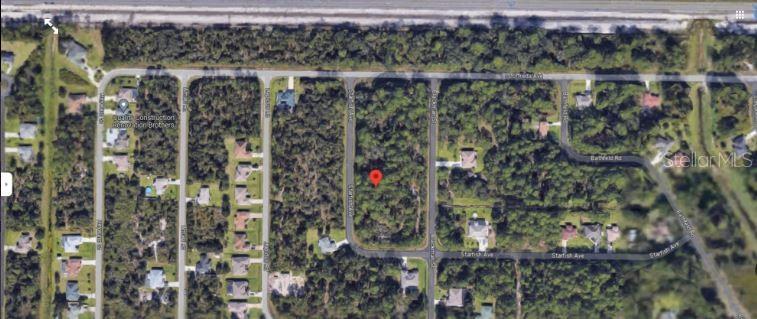 Image 6 of 7 For Starfish Avenue