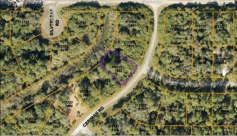 Image 4 of 6 For Ceriman Road