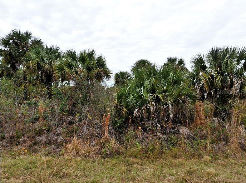 Image 2 of 5 For E Fiveleaf Dr,