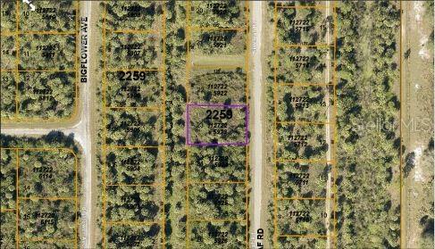 Image 5 of 5 For E Fiveleaf Dr,
