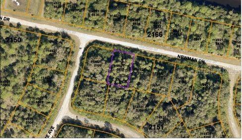 Image 4 of 5 For Newman Drive