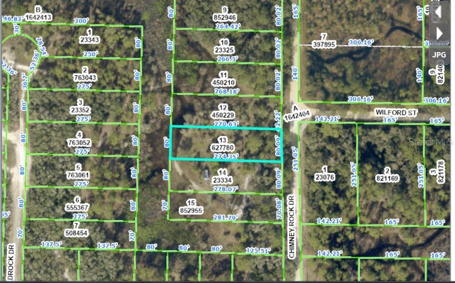 Listing Details for Ridge Mnr Est Un 4 Drive, WEBSTER, FL 33597