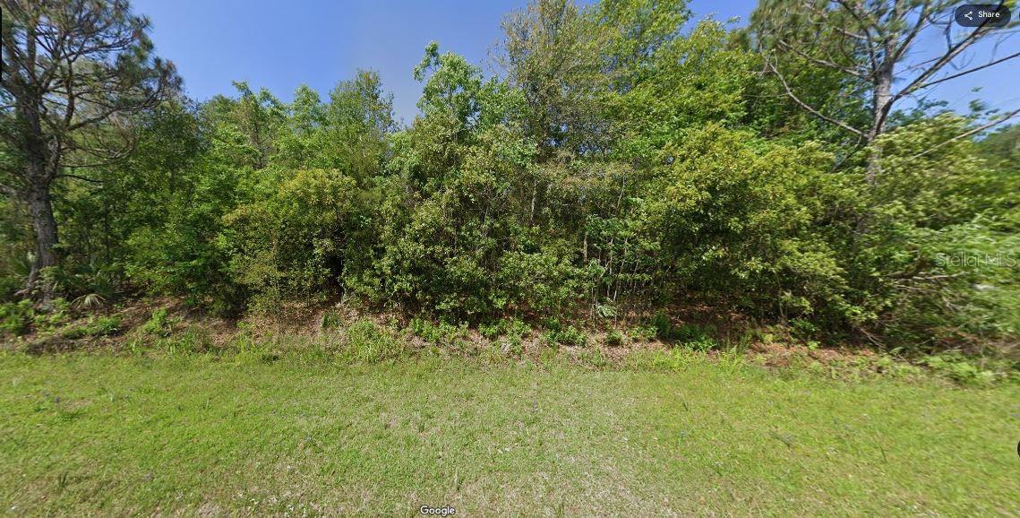 Image 4 of 4 For Paradise Lakes Avenue