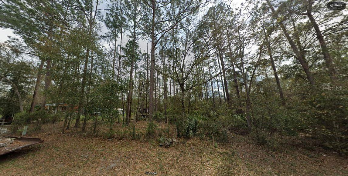 Image 7 of 7 For  Riley Dr  