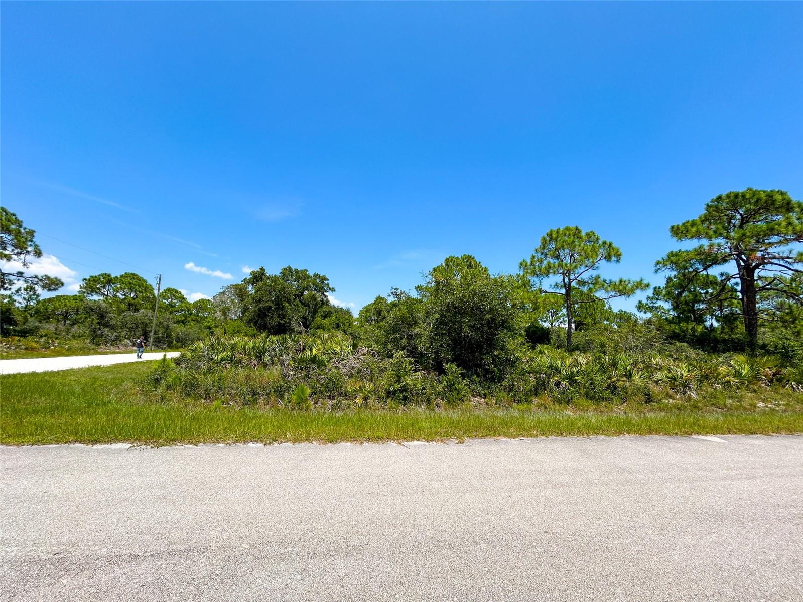 Details for 132 Corine Avenue Nw, LAKE PLACID, FL 33852