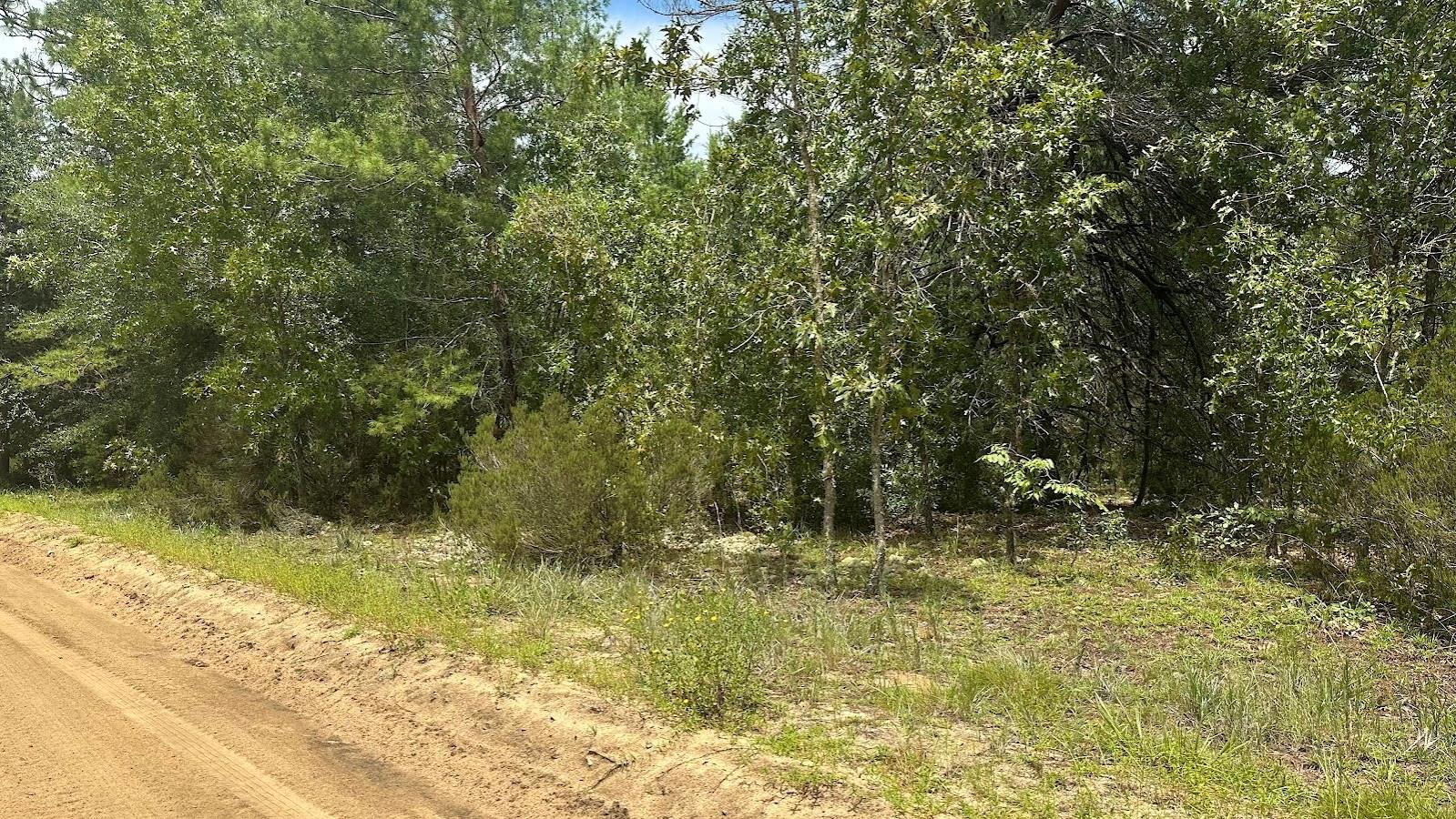Details for 110 Redwood Boulevard, GEORGETOWN, FL 32139