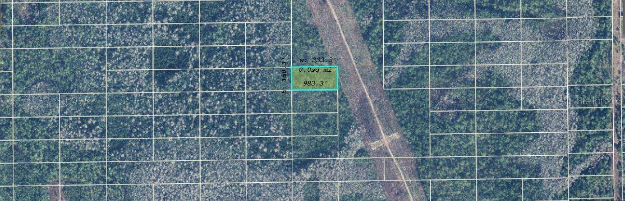 Image 2 of 3 For  Dill Road 