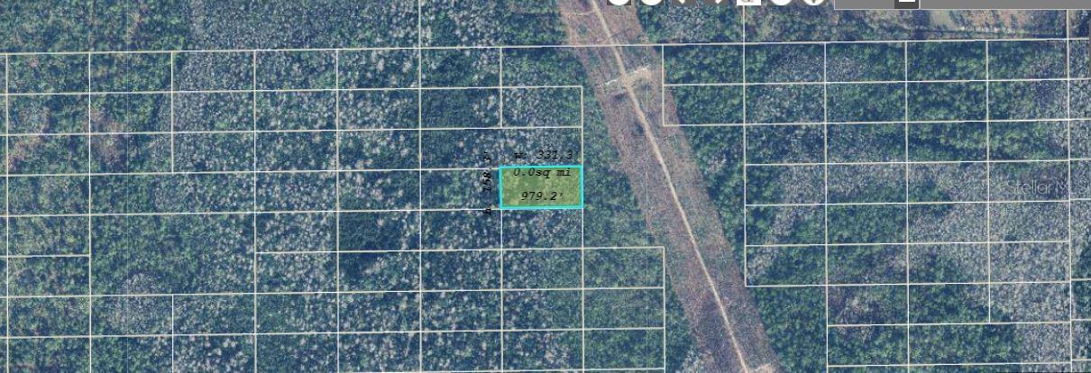 Image 2 of 3 For  Dill Road 