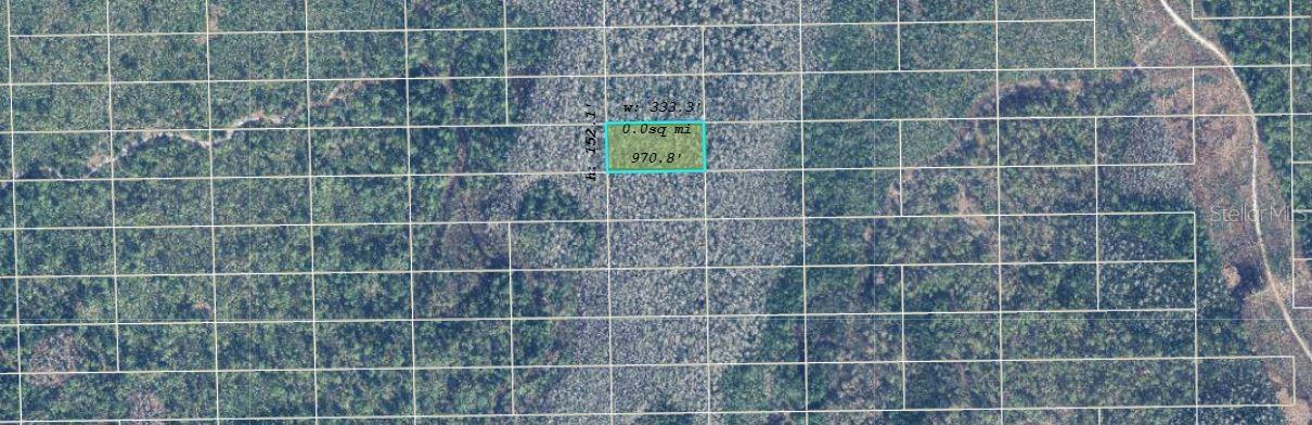 Image 2 of 3 For  Dill Road 