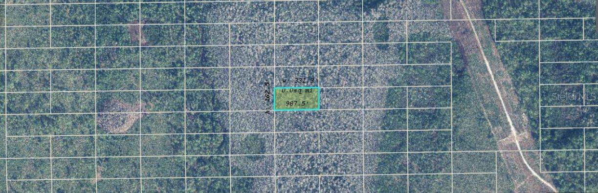 Image 2 of 3 For  Dill Road 