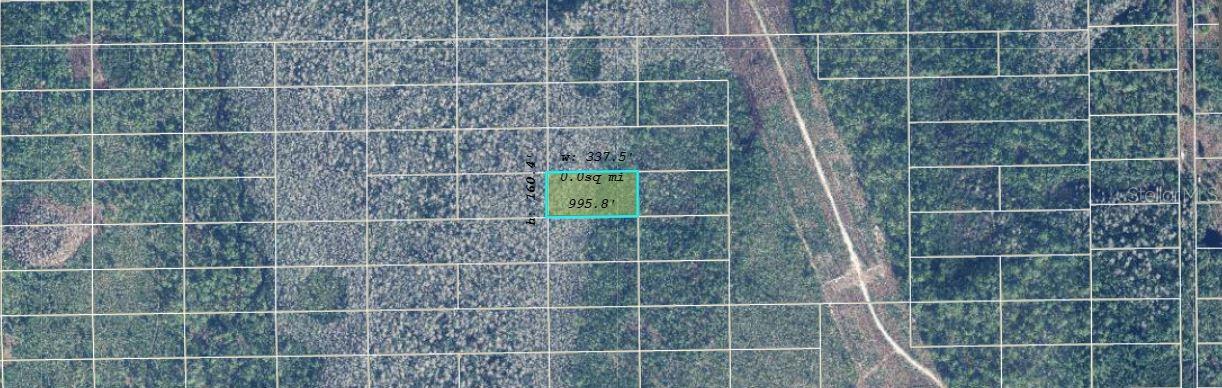 Image 2 of 3 For  Dill Road 