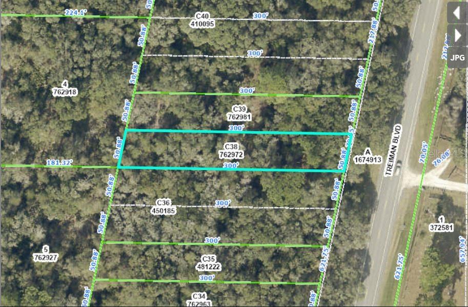 Listing Details for Treiman Boulevard, WEBSTER, FL 33597