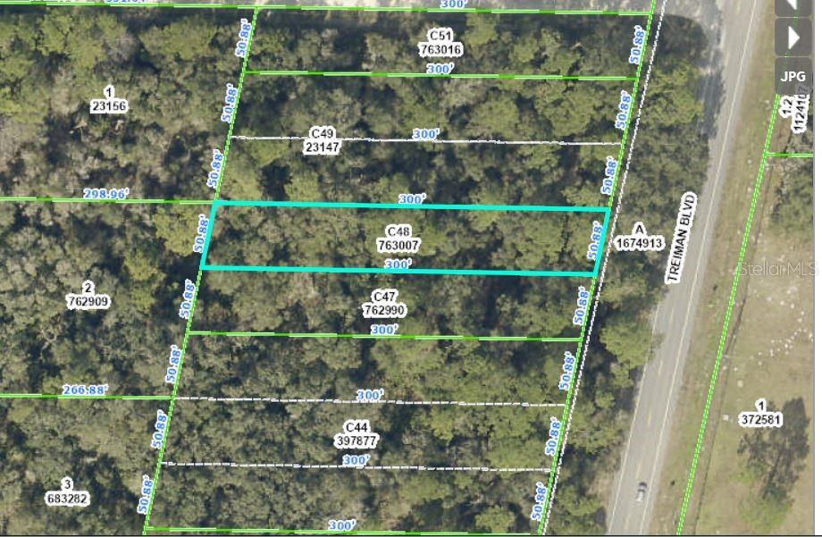 Listing Details for Treiman Boulevard, WEBSTER, FL 33597