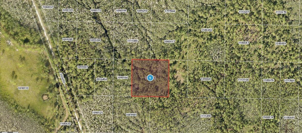 Details for Salyers Road, CLERMONT, FL 34714