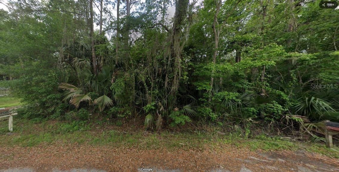 Image 4 of 4 For  River Road 