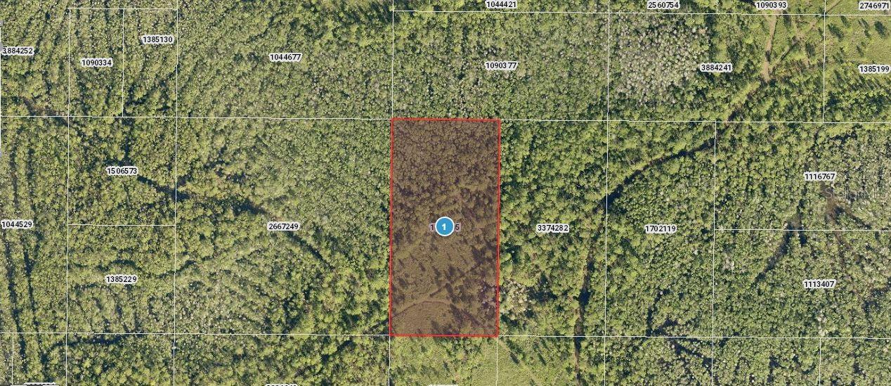 Details for Salyers Road, CLERMONT, FL 34714