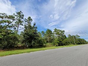 Listing Details for Lot 233 Quarterly Parkway, ORLANDO, FL 32833