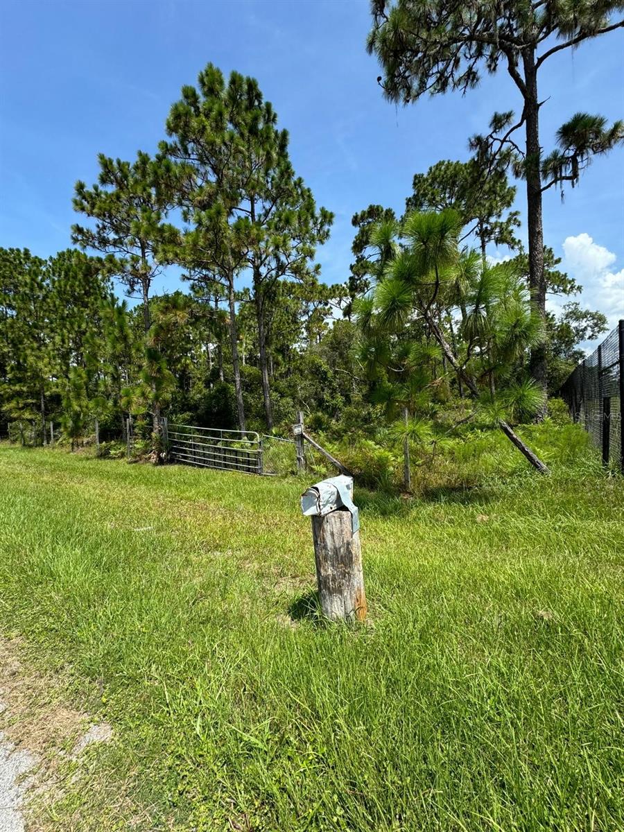 Image 5 of 10 For 13648 Lacebark Pine Road