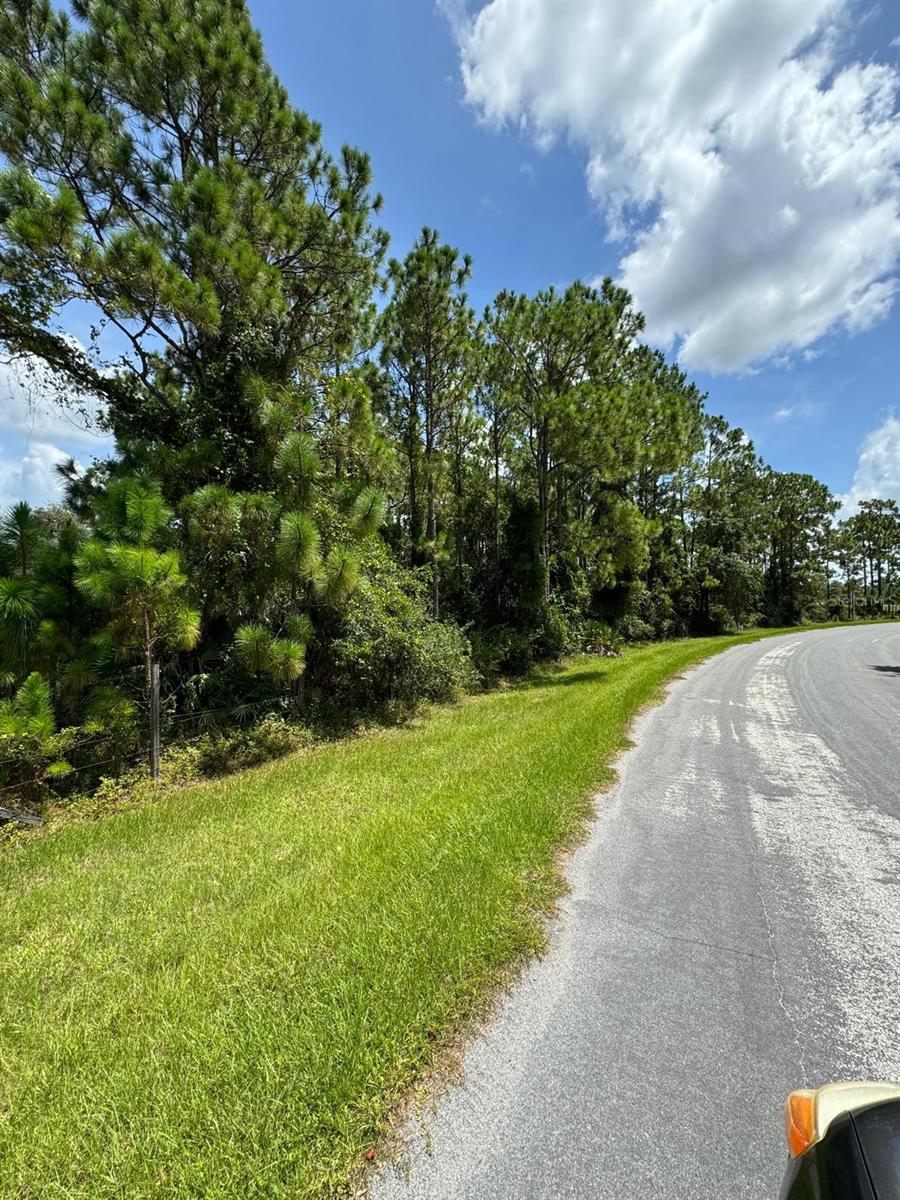 Image 6 of 10 For 13648 Lacebark Pine Road