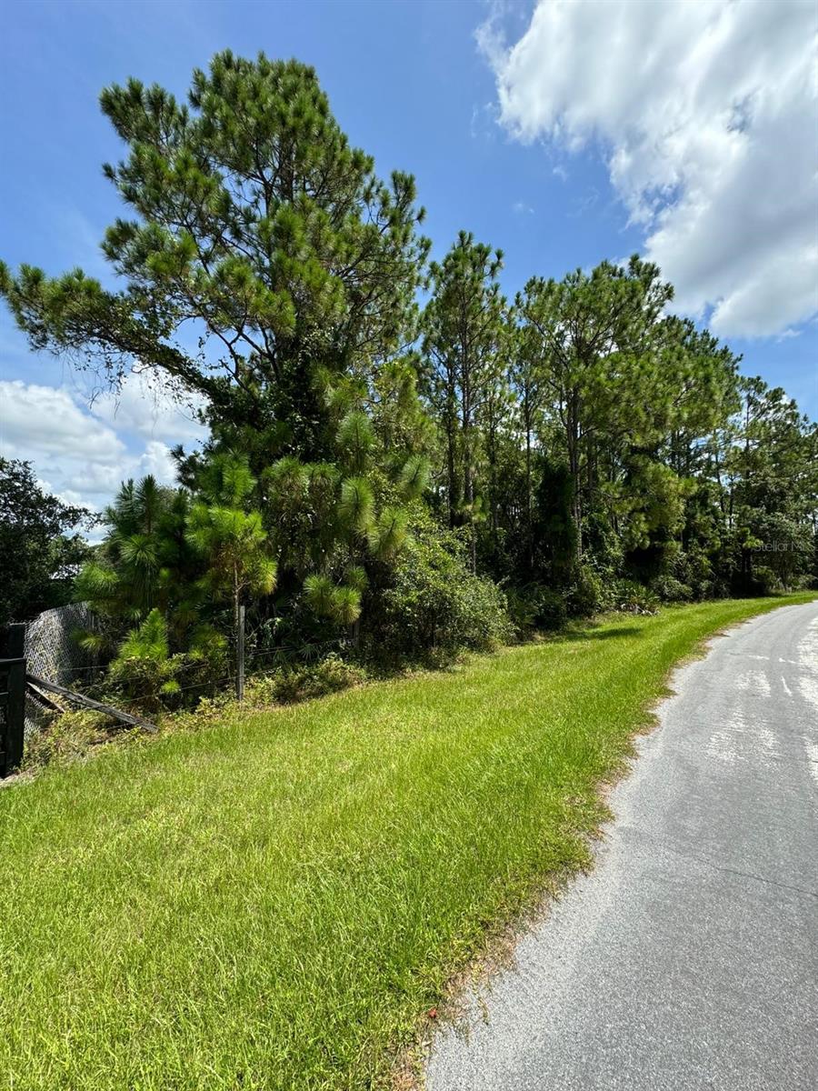 Image 8 of 10 For 13648 Lacebark Pine Road