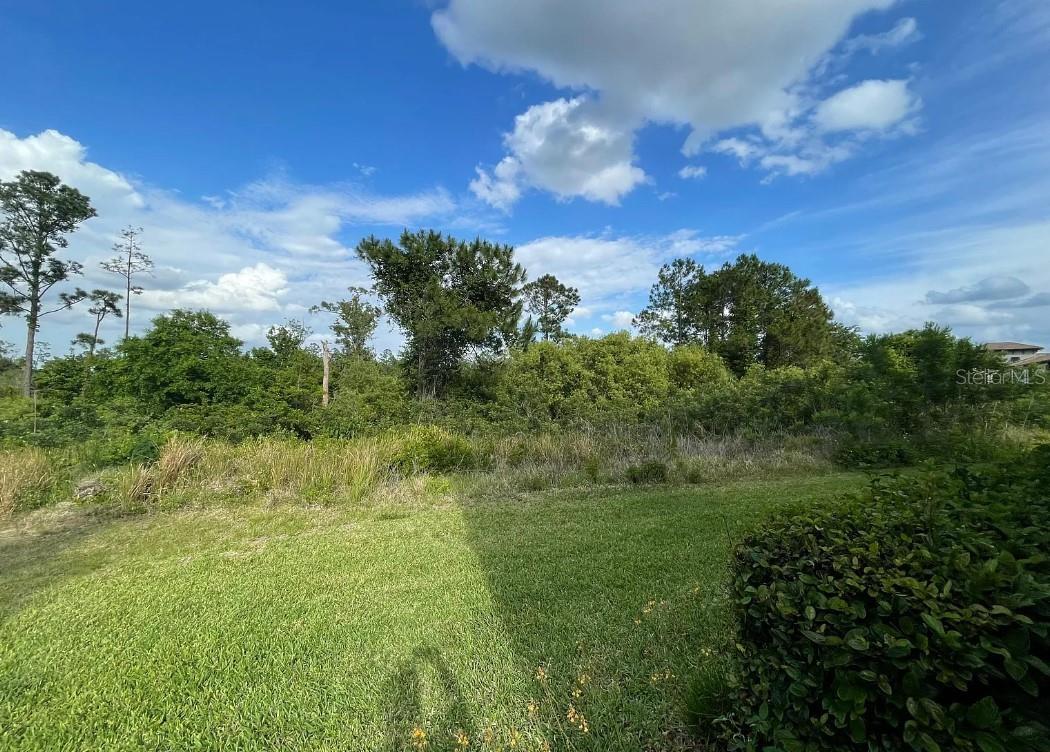 Image 18 of 21 For 8502 Arcadia Lane