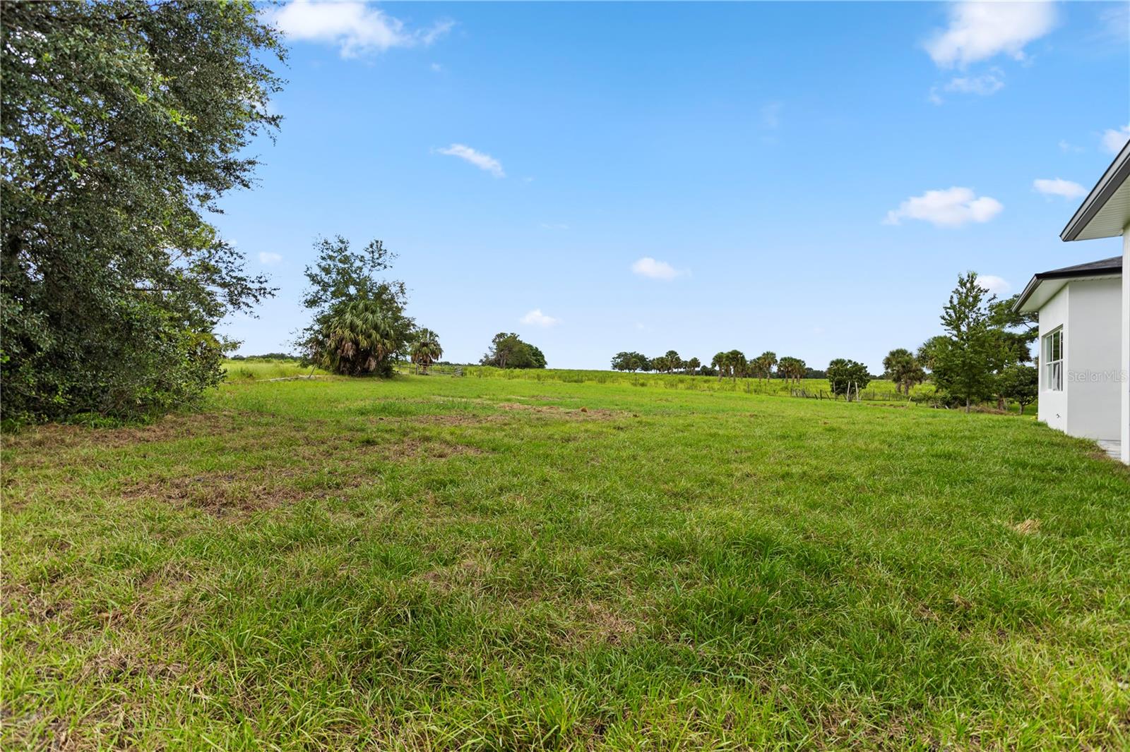 Image 65 of 79 For 36925 Bee Meadow Court