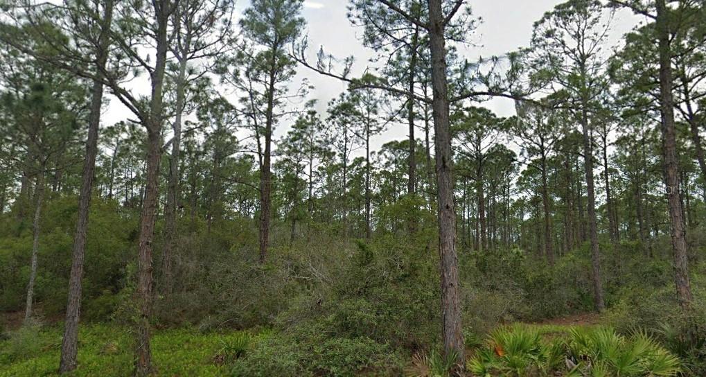Listing Details for 230 Sun Way Drive, LAKE PLACID, FL 33852