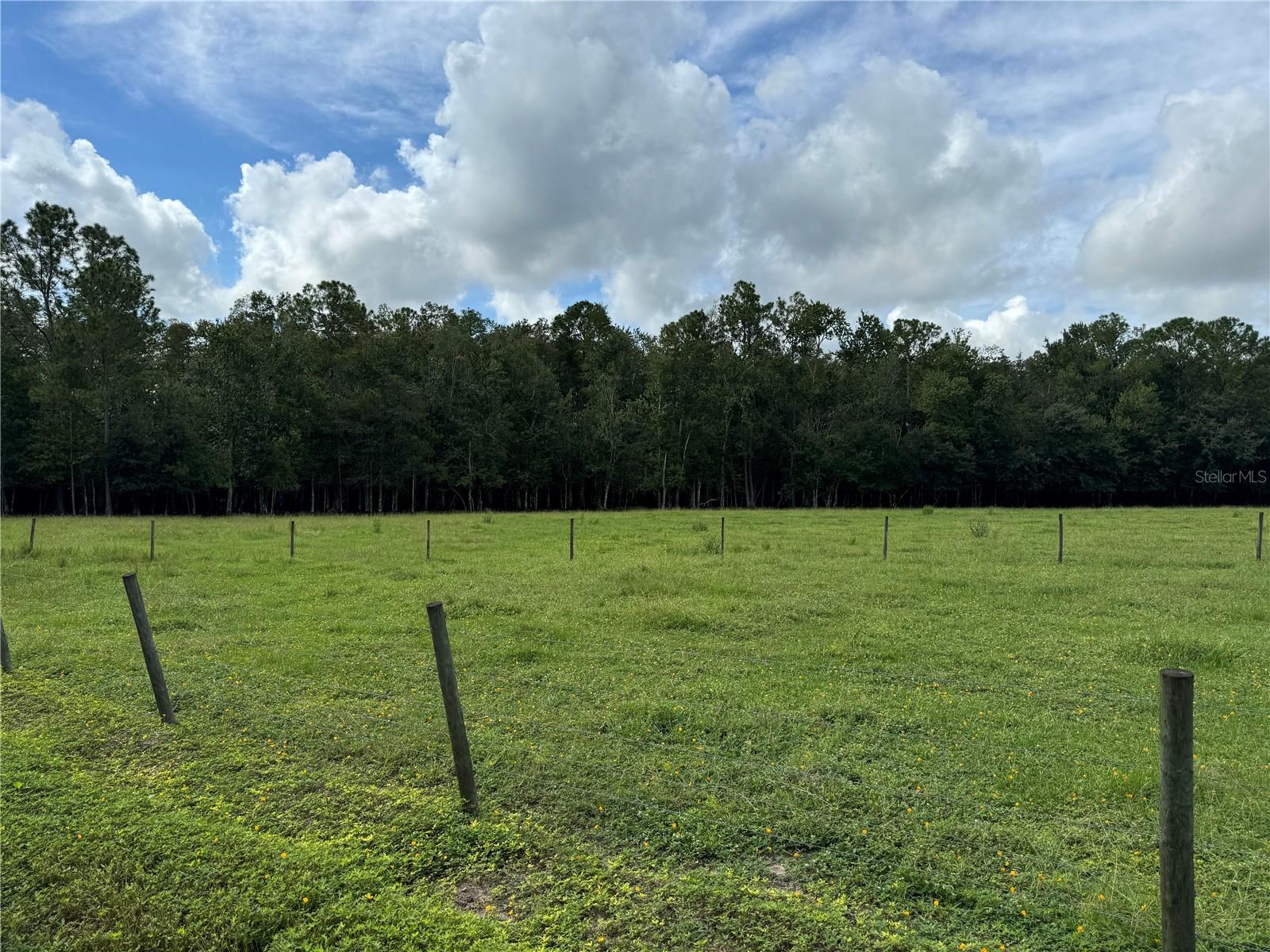 Details for Green Swamp Road, CLERMONT, FL 34714