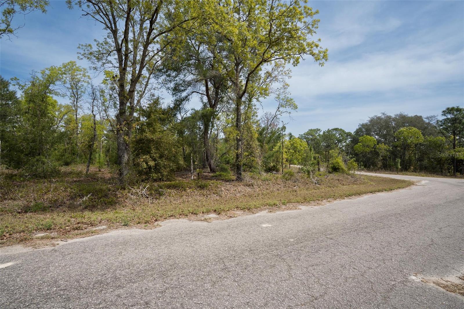 Image 10 of 26 For Guava Pass Way