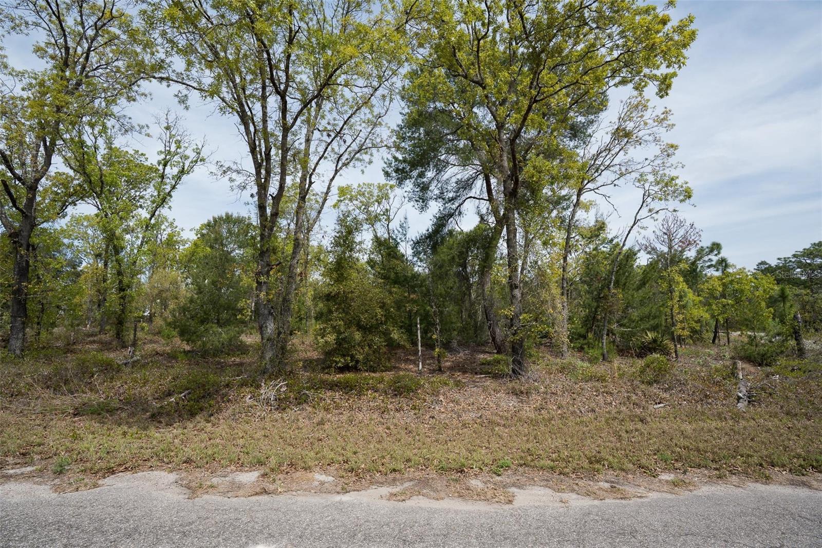 Image 11 of 26 For Guava Pass Way