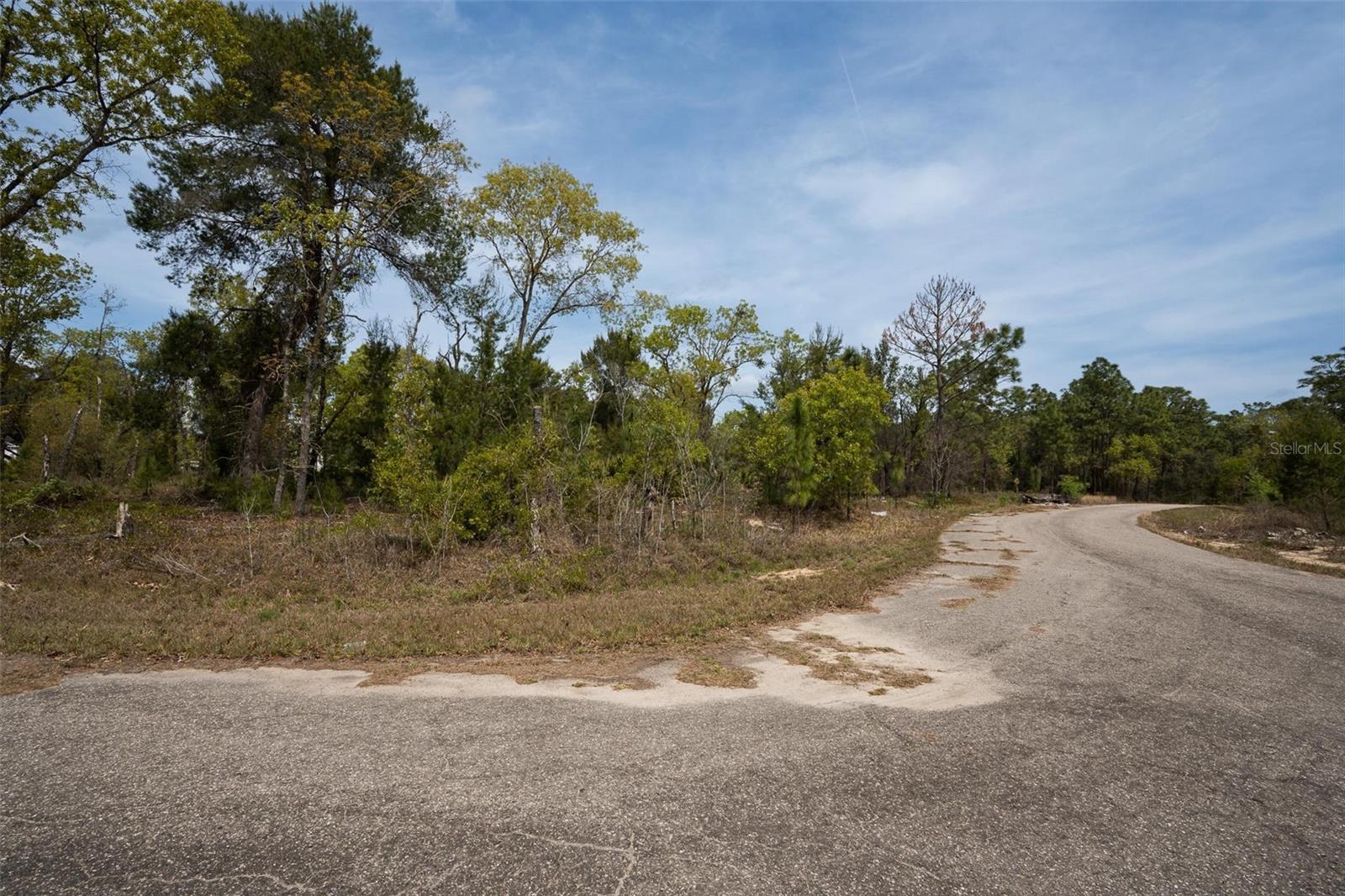 Image 12 of 26 For Guava Pass Way