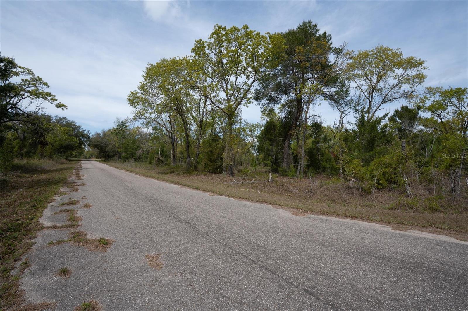 Image 13 of 26 For Guava Pass Way