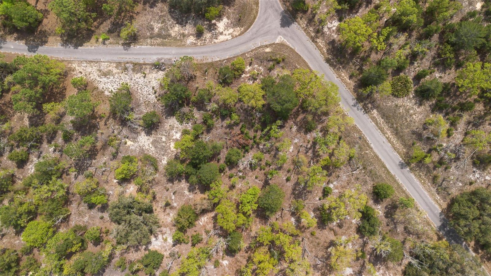 Image 14 of 26 For Guava Pass Way