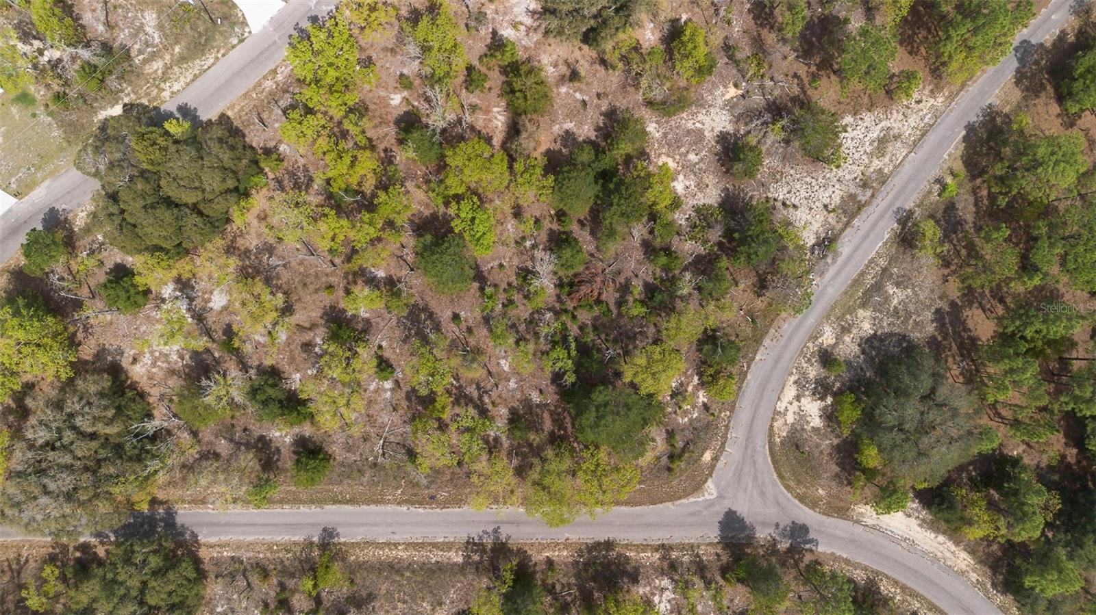 Image 15 of 26 For Guava Pass Way