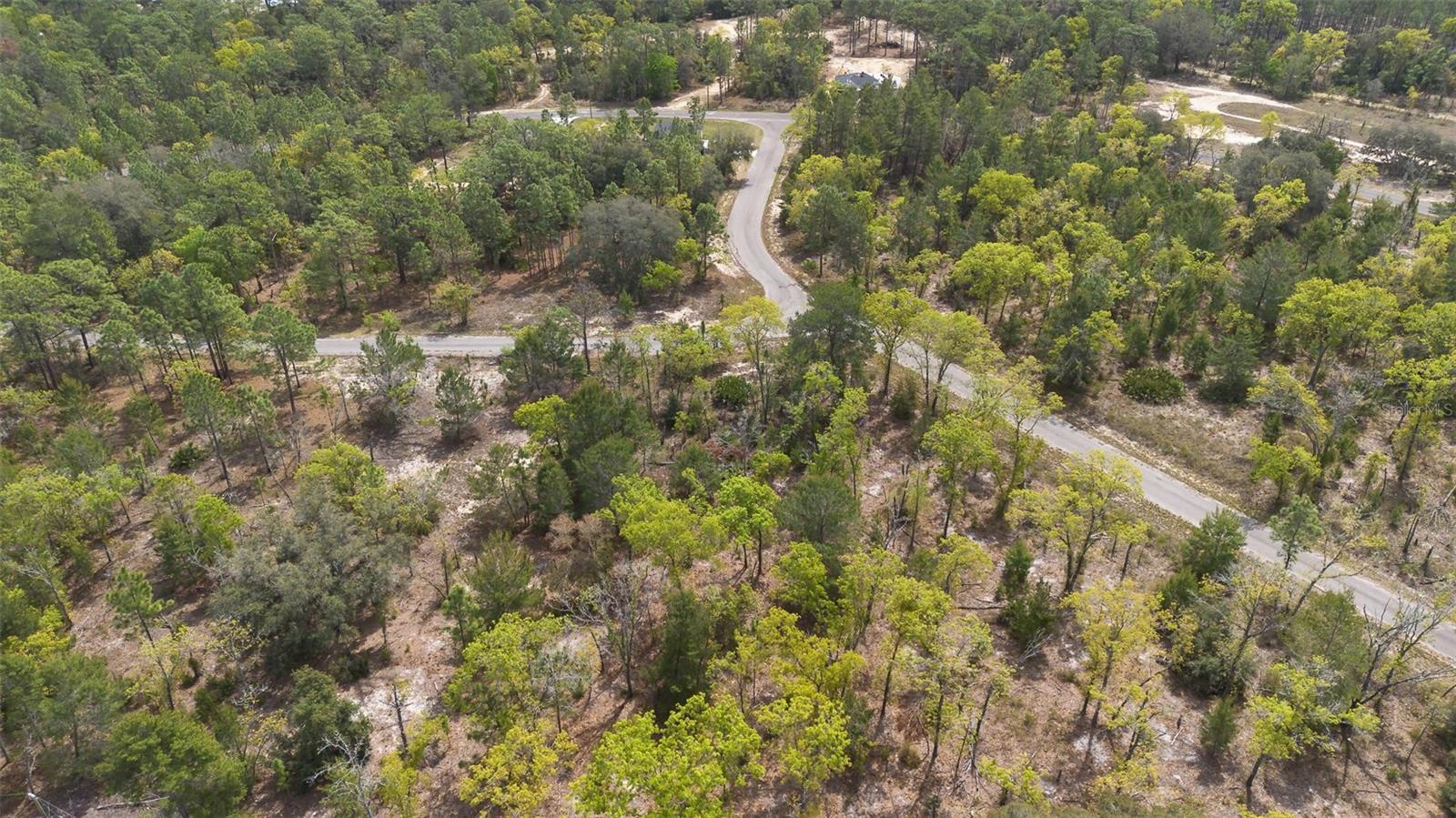 Image 16 of 26 For Guava Pass Way
