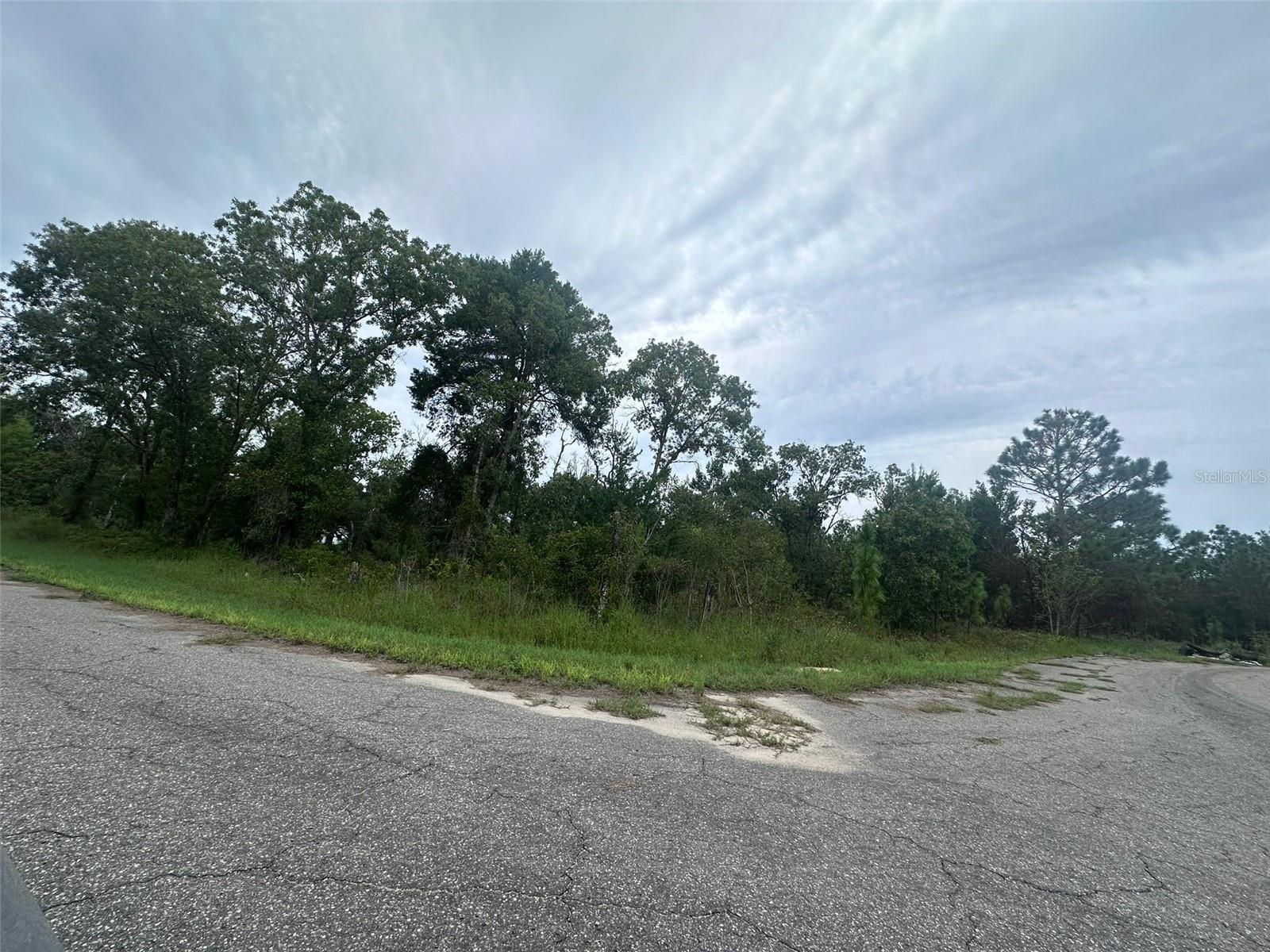 Image 4 of 26 For Guava Pass Way