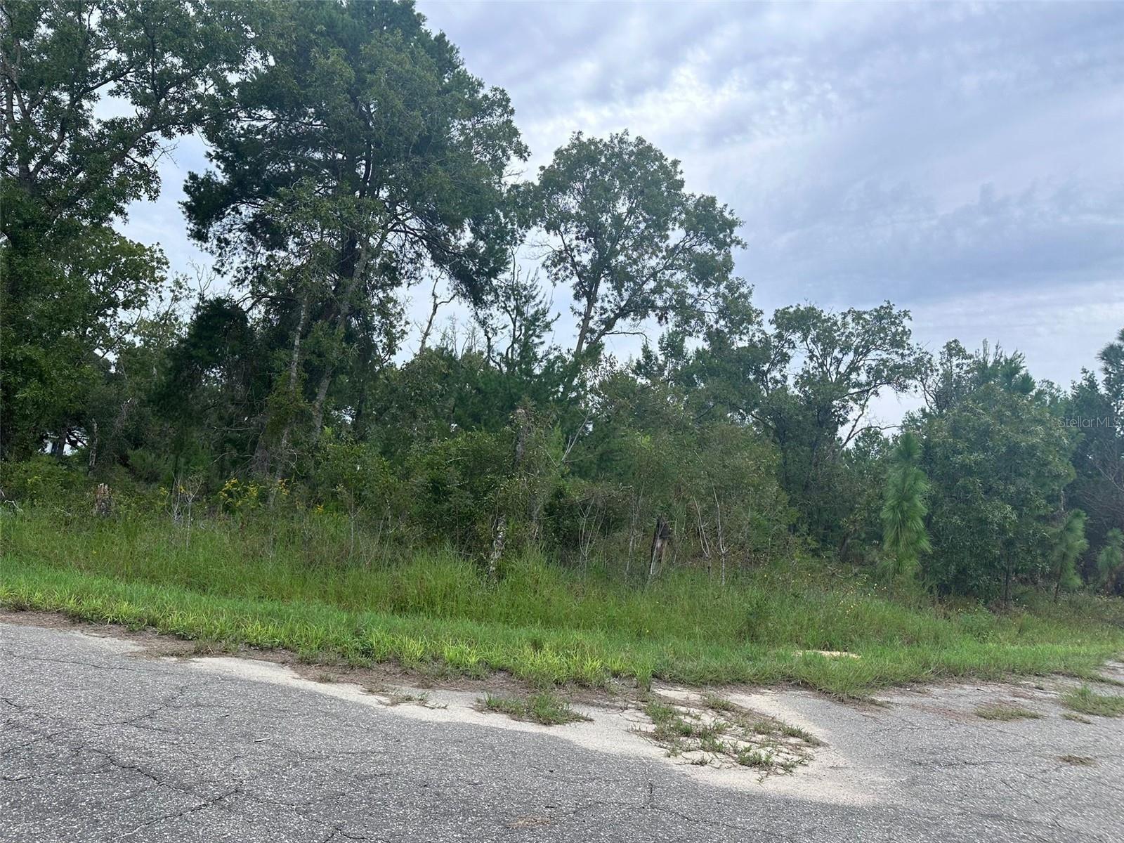 Image 5 of 26 For Guava Pass Way